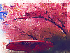 河津桜と番傘(水彩)