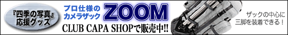 ZOOM