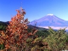 fuji283