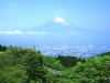 fuji061