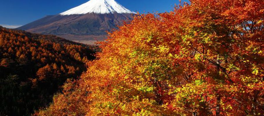 秋まっさかりの富士山