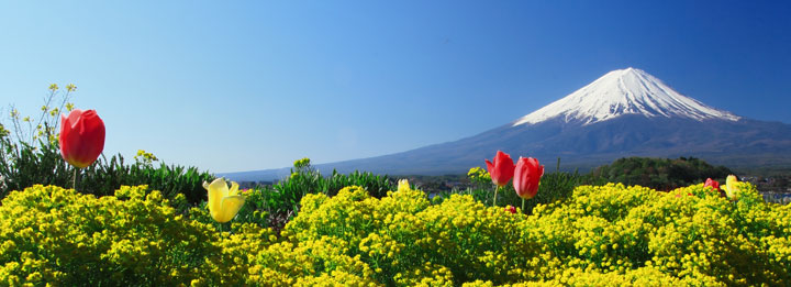 花咲く河口湖