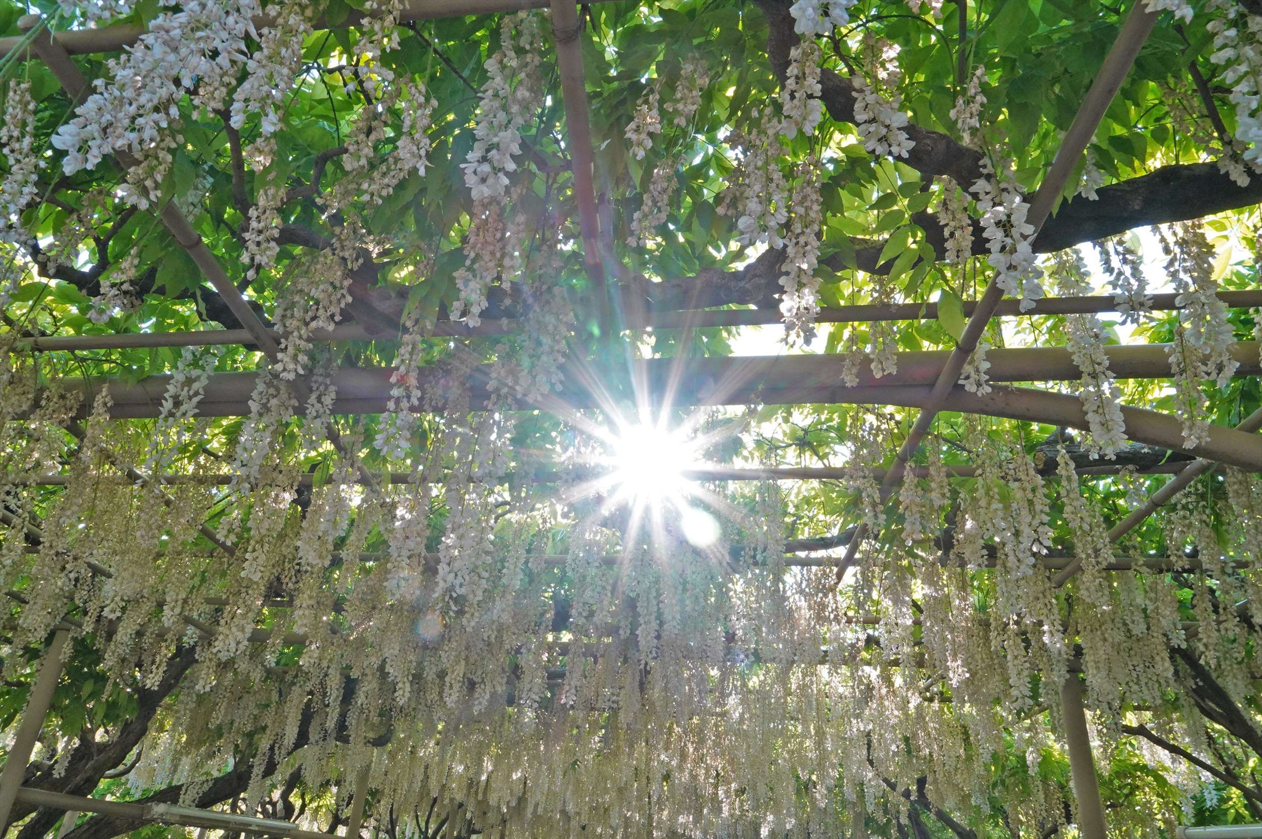 DSC03680~WM