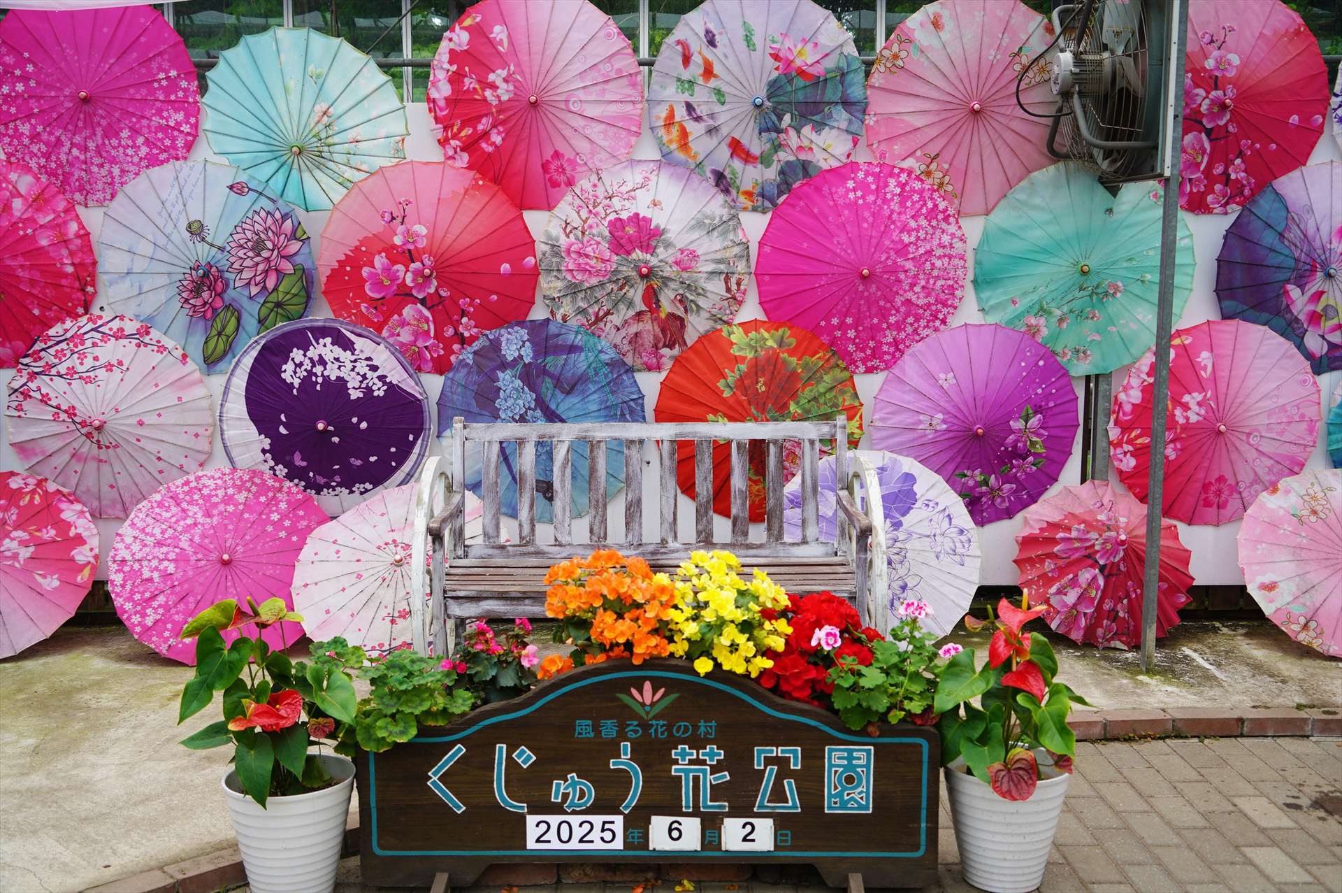 DSC04333~WM