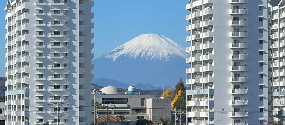 IMG_2370