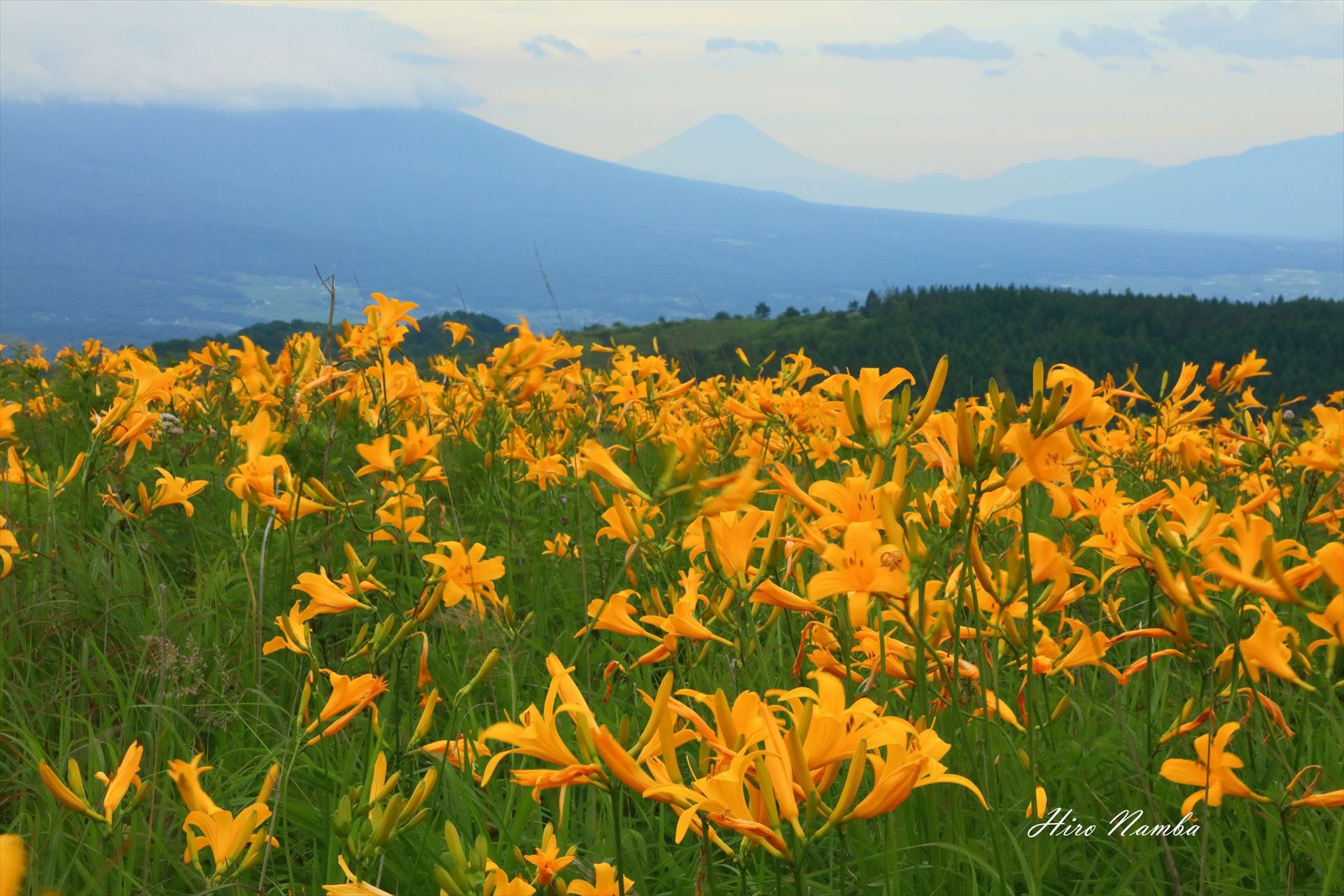 IMG_3852~WM
