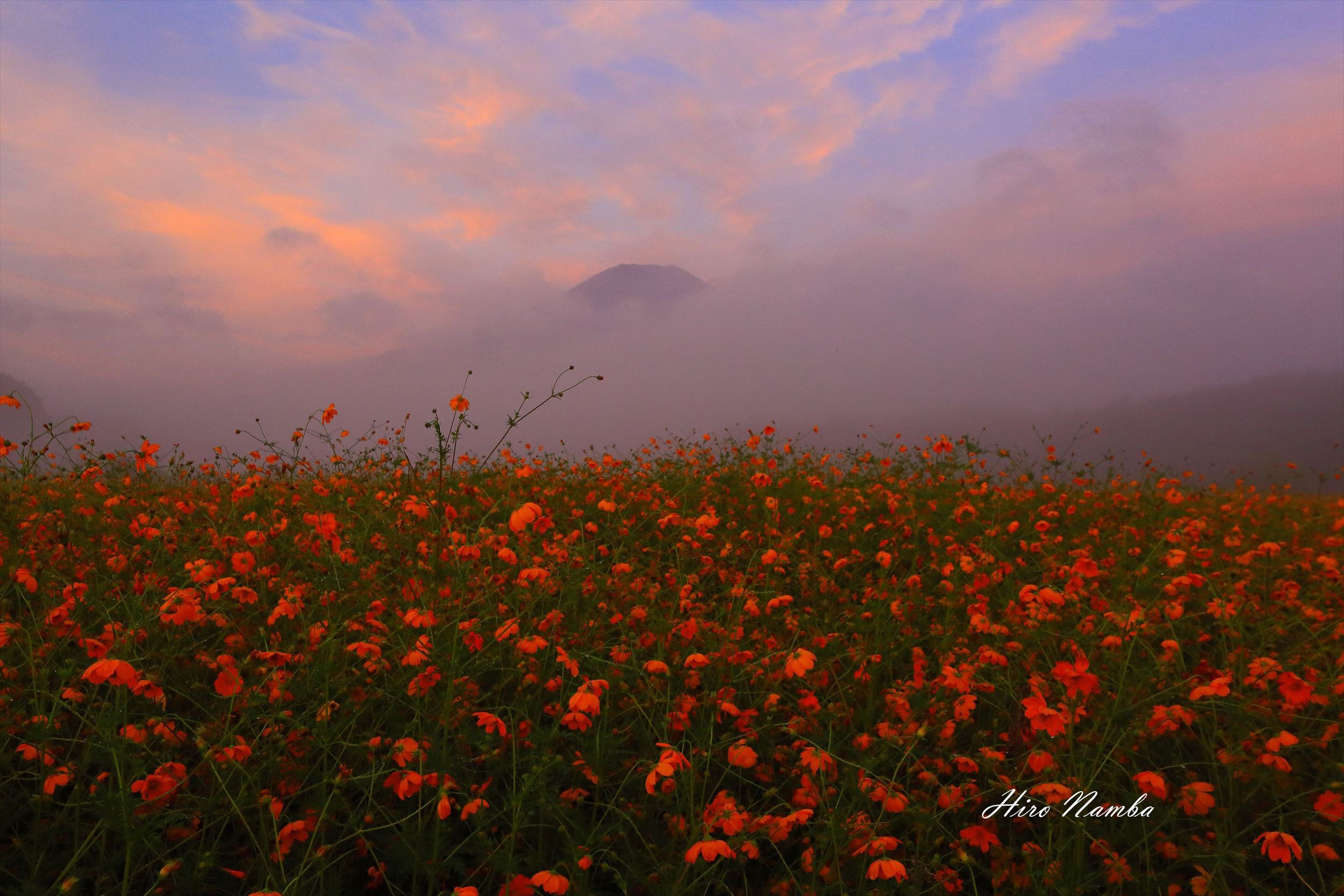 IMG_6637~WM