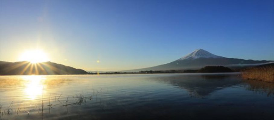 i-171126 i-171126